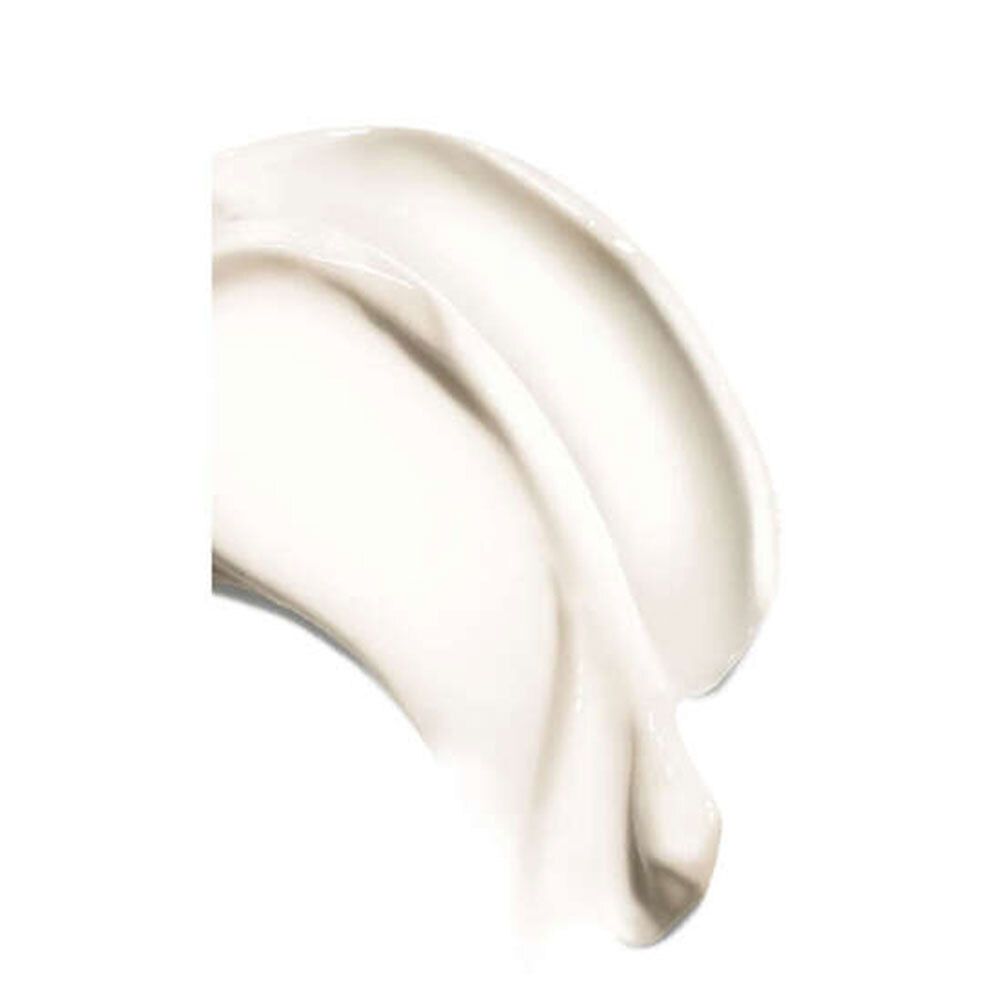 SkinCeuticals Daily Moisture – Bild 2