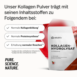 Kollagen-Hydrolysat Kirsche – Bild 2