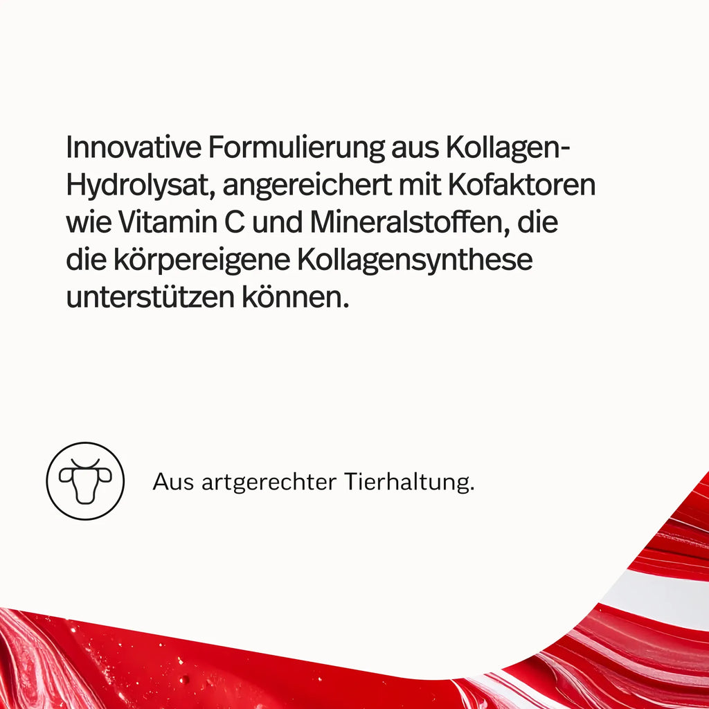 Kollagen-Hydrolysat Kirsche – Bild 4