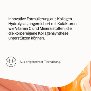 Kollagen-Hydrolysat Eistee-Pfirsich – Bild 4