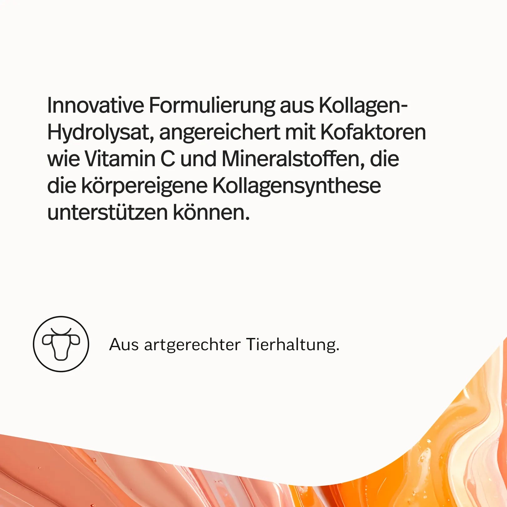 Kollagen-Hydrolysat Eistee-Pfirsich – Bild 4
