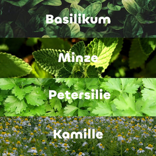 beebalanced Kräuter