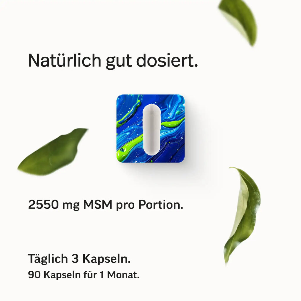 PURE MSM Kapseln – Bild 5