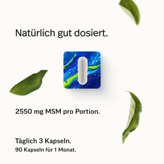PURE MSM Kapseln – Bild 5