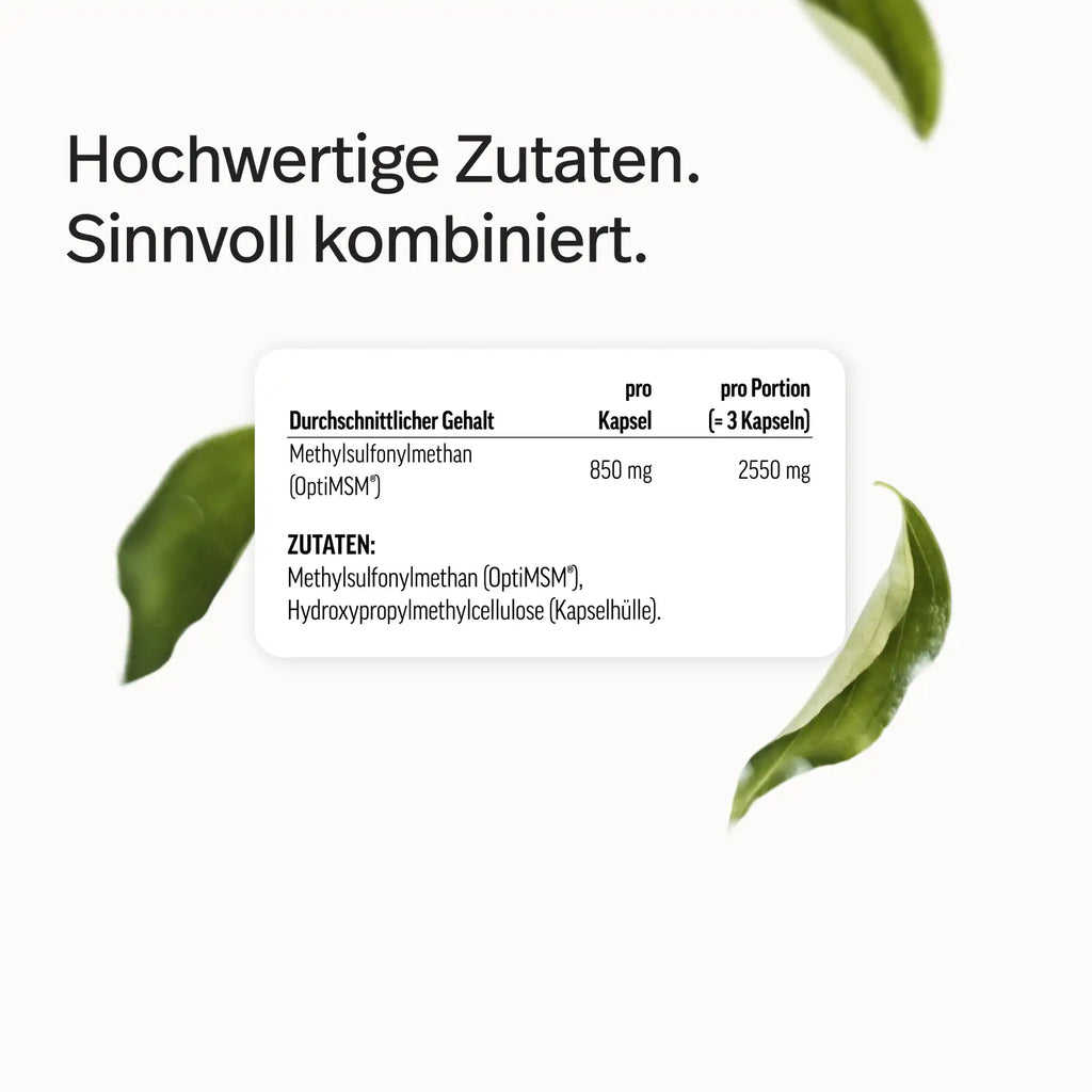 PURE MSM Kapseln – Bild 8