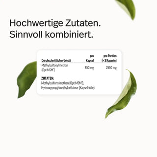 PURE MSM Kapseln – Bild 8