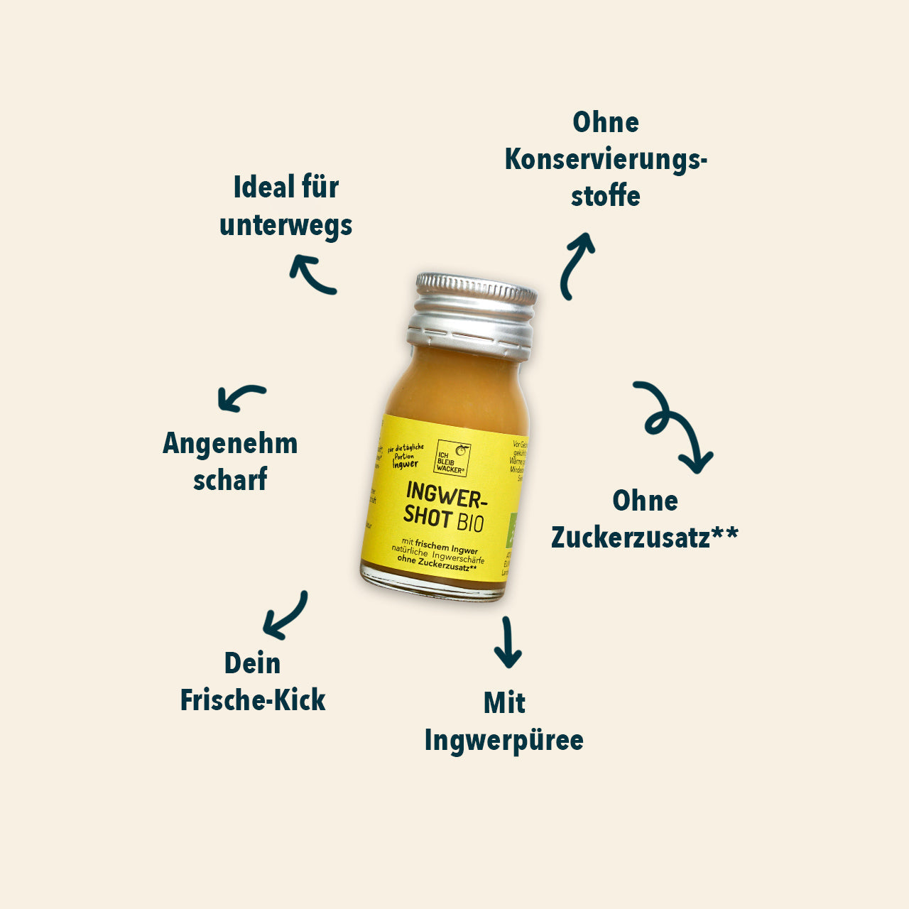 Ingwershot Bio, 30ml – Bild 2