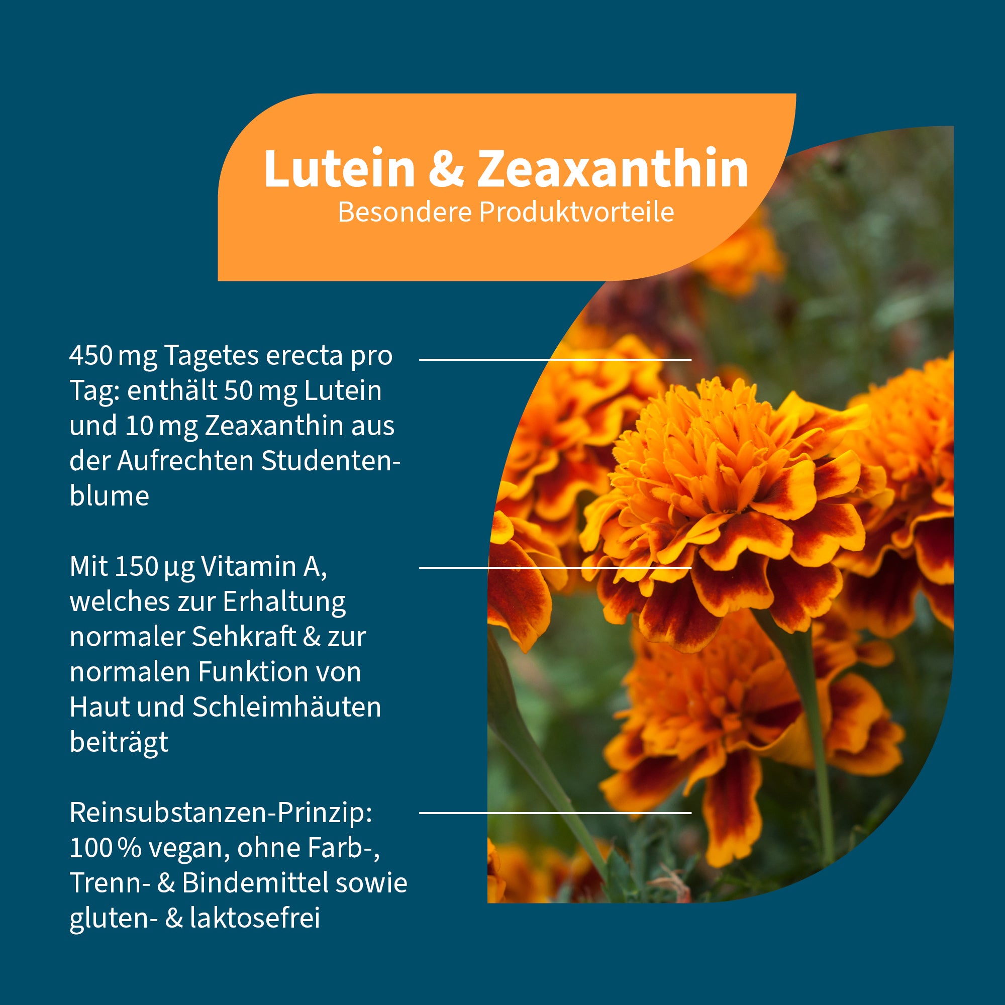 Lutein & Zeaxanthin – Bild 2