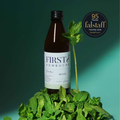 Raw Kombucha Minze – Packshot