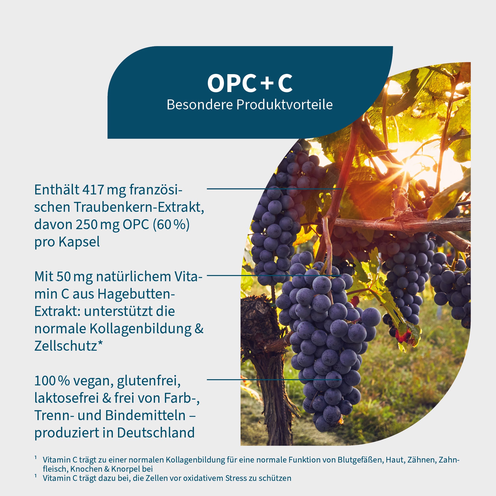 OPC+C – Bild 4