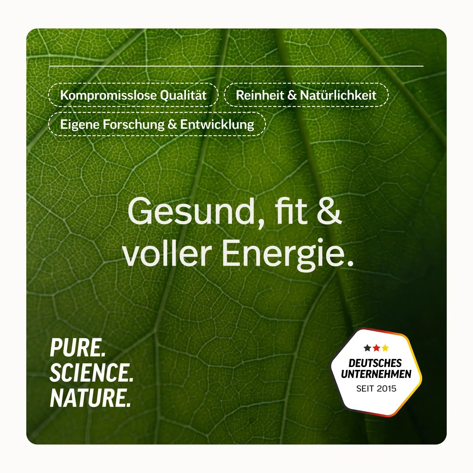 Whey-Isolat Pulver aus Weidemilch – Vanille – Bild 8