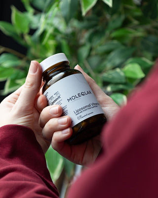 Vitamin C Kapseln (liposomal) – Bild 3