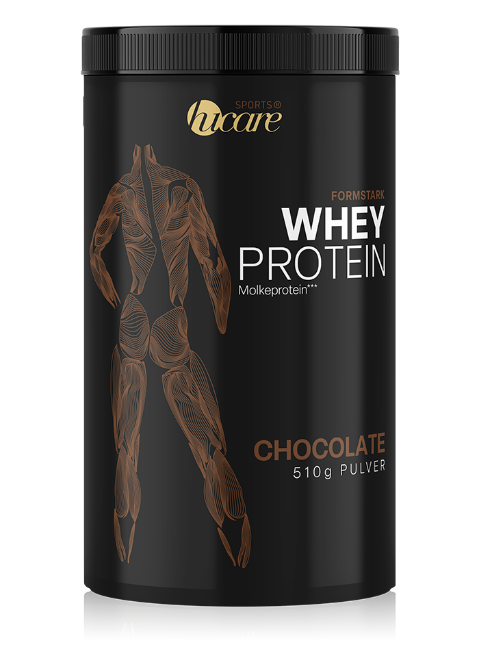 WHEY PROTEIN CHOCOLATE (510 g Pulver) – Packshot